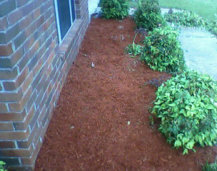Mulching