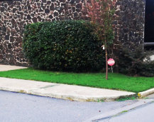 Commercial Landscaping